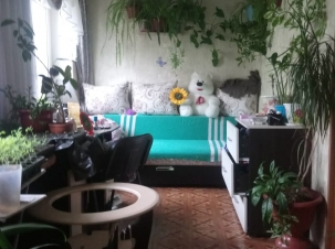 IMG-20220420-WA0003